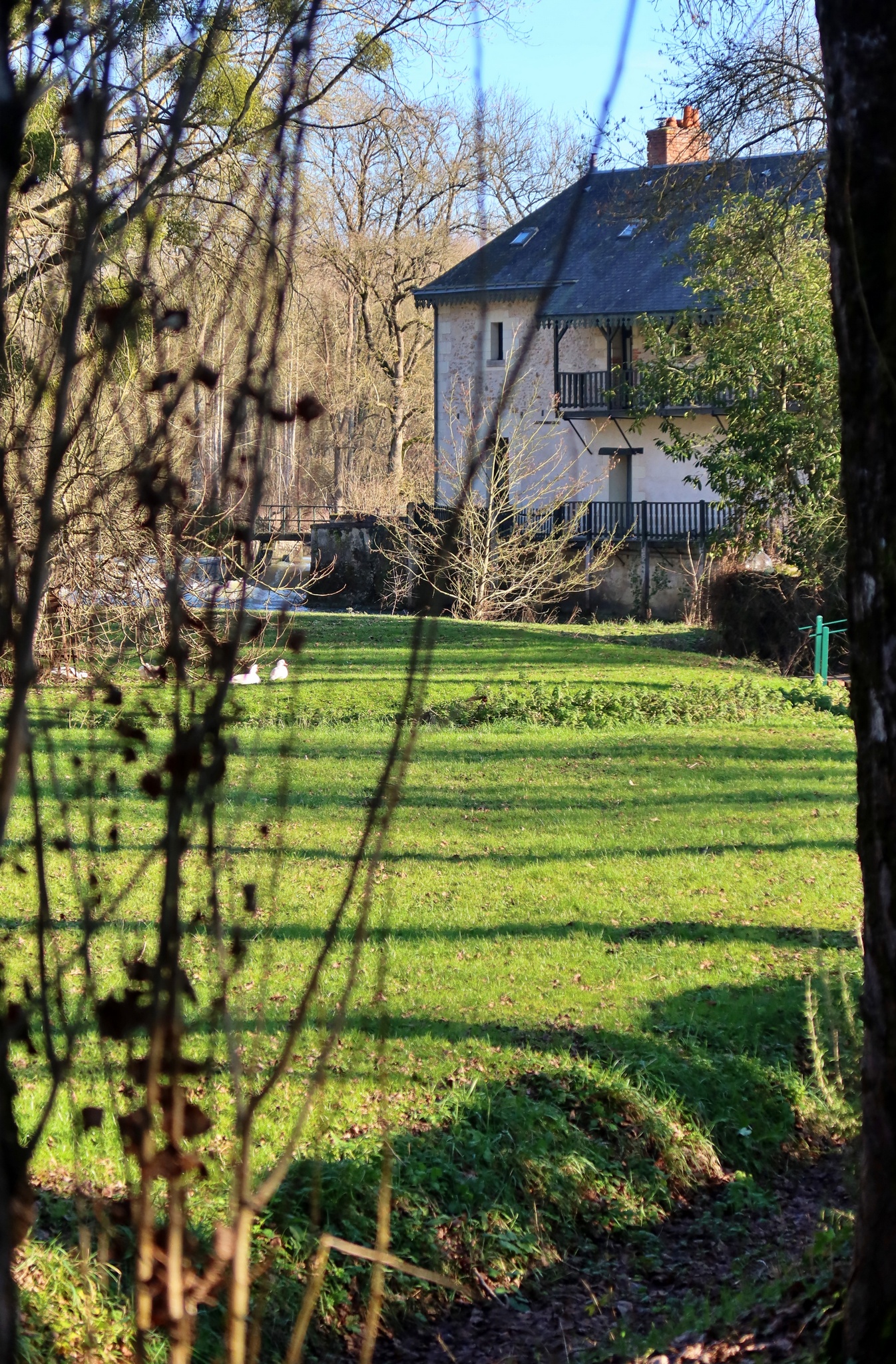 Saché, le 20 janvier - Chemins de Compostelle en Touraine